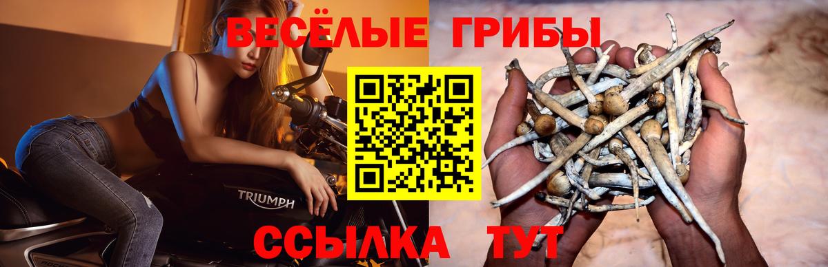 Галлюциногенные грибы мицелий Кыштым